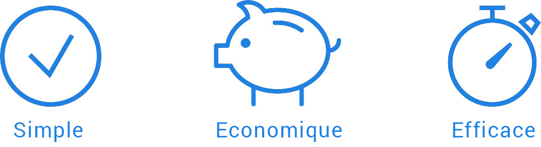 icones simple economique et efficace
